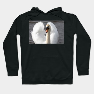 Elegant swan Hoodie